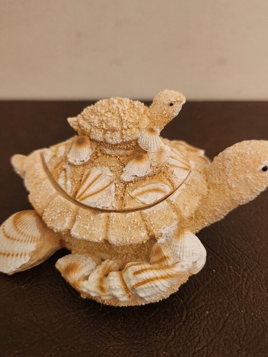 Accents | Vintage Sand Shell Turtle Trinket Box | Poshmark